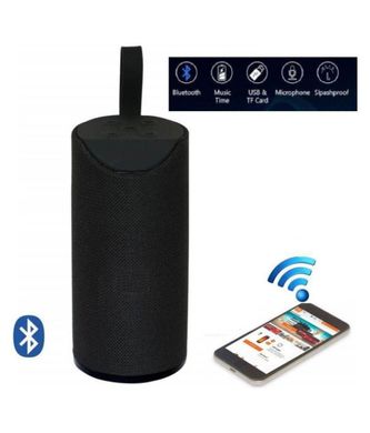 Портативная Bluetooth колонка T&G TG-113 13007 фото