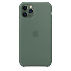 Чехол силиконовый Silicone Case для Apple iPhone 12, iPhone 12 Pro Pine Green 25085 фото