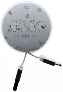 Кабель Joyroom PT-S01 microUSB 90cm 2A Cat 15168 фото