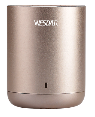 Портативная Bluetooth колонка WESDAR K23 золотая 13813 фото