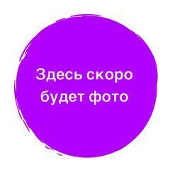 Стилус емкостный, с выдвижной шариковой ручкой, металлический, коричневый 21735 фото