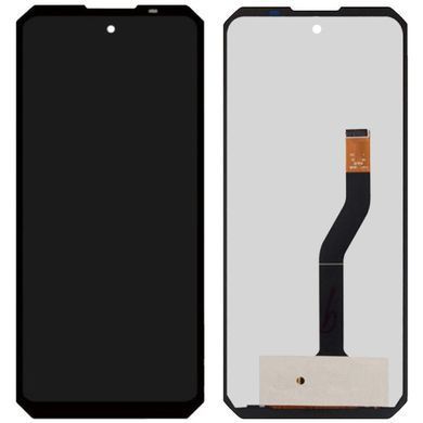 Дисплей для Oukitel WP10 черный 31097 фото
