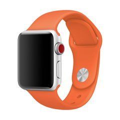 Ремешок для смарт-часов Apple Watch 38/40mm Sport Band Spicy Orange, размер M/L 14791 фото