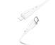 Кабель Borofone BX66 1m 5A PD Type-C на Lightning белый 25994 фото 1