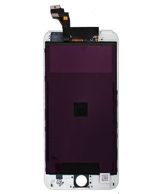 Дисплей для Apple iPhone 6 Plus белый Оригинал (Переклейка) 23497 фото